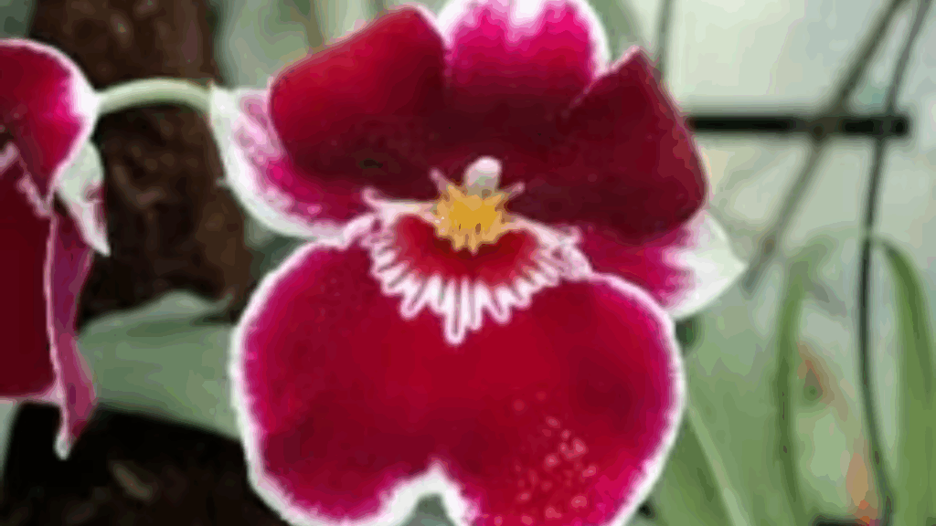 Mps Mary Saunders ‘Annie’