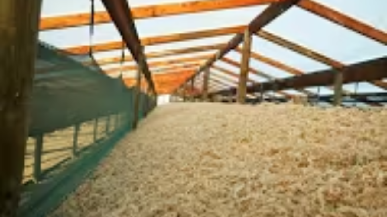 Not All Sphagnum Moss is Created Equal