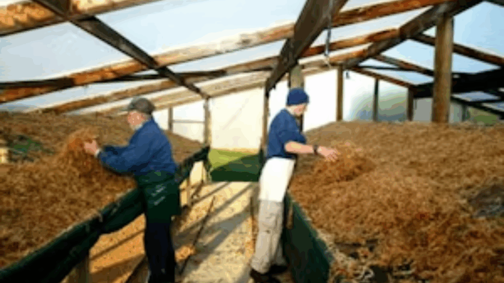 sustainable orchid bark and sphagnum moss