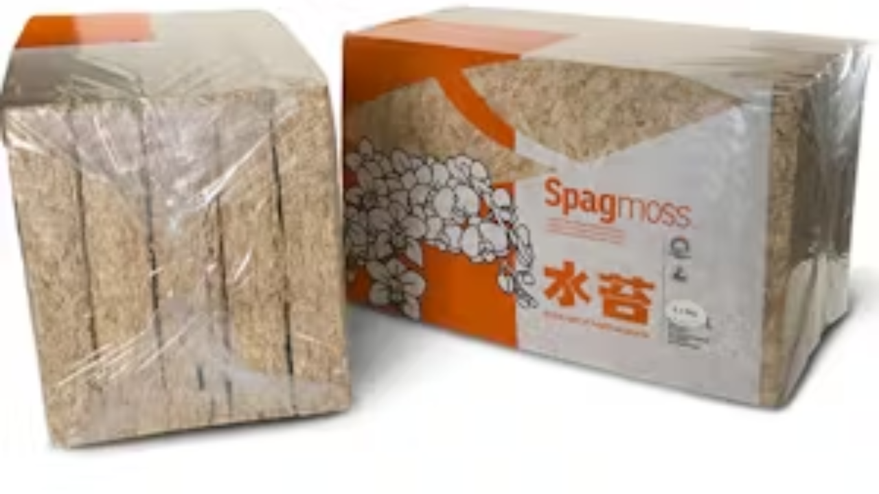 Get Creative with New Zealand Sphagnum Moss