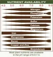 Why is pH important when growing orchids?