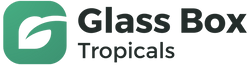 Glass Box Tropicals