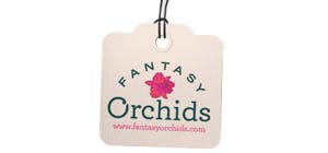 Fantasy Orchids