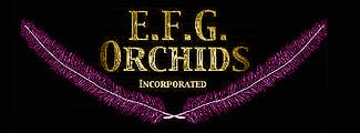 EFG Orchids