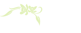 Louisiana Orchid Connection