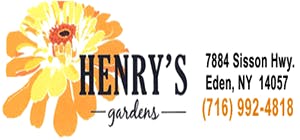 Henry’s Gardens