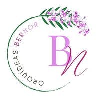 Orquideas BerNor