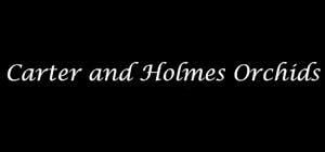 Carter and Holmes Orchids