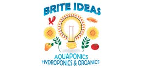 Brite Ideas
