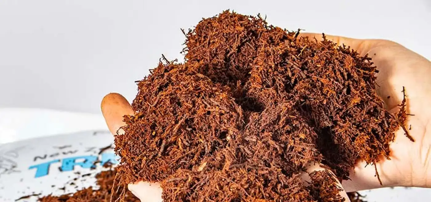 Hands holding tree fern fiber