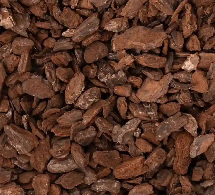 Orchid Bark