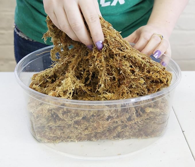 Besgrow Spagmoss available at Acadian Supply