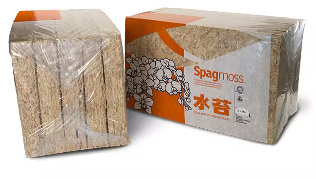 Premium New Zealand sphagnum moss used for orchid growing, valued for its high quality, moisture retention, and healthy root support