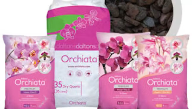 5 Best Orchid Growing Supplies for Faster Blooming
