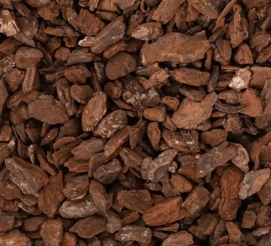 Best Pine Bark for Orchids To Help  Rebloom