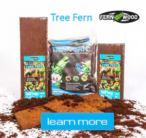 Natural New Zealand tree fern fiber growing medium with a coarse, airy texture that supports strong root growth, moisture balance, and healthy orchids, aroids, and tropical plants.