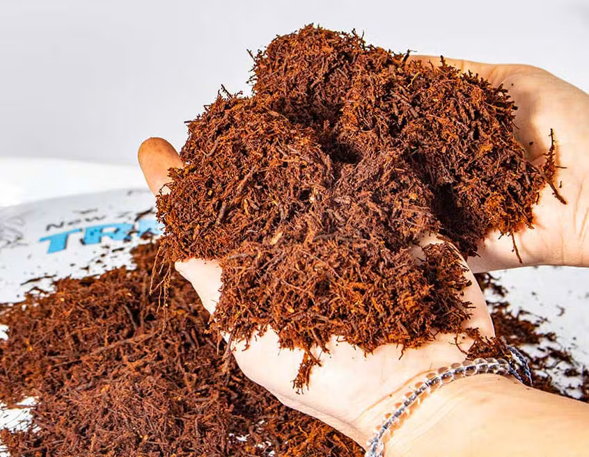 Premium Tree Fern Fiber held in hands